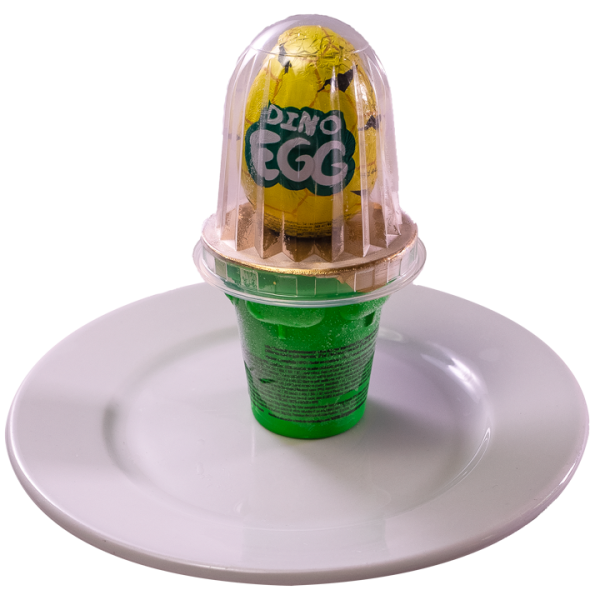 Dino Egg